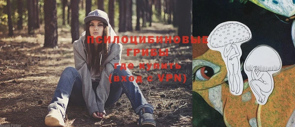 гидра Беломорск