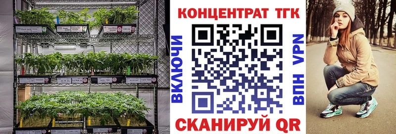 ТГК концентрат  закладка  Николаевск 